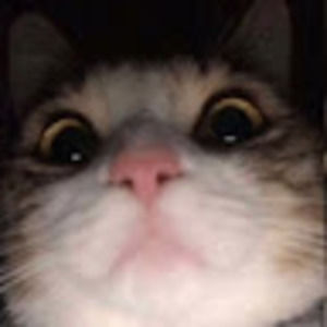 Meet your Posher, Matthew .p